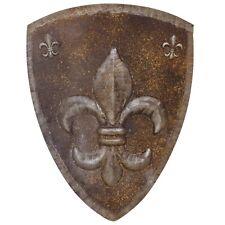 Eisenschild Ritterschild